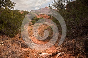 Creekbed In Palo Duro Canyon, Texas photo