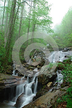 Creeks Below Amicalola Falls