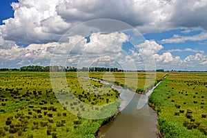 Creeks with water and wide views in the National Park the Biesbosch in the Netherlands.