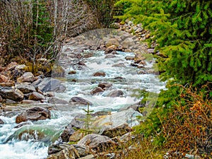 Creekside Yellowhead Trail Mount Robson Provincial Park