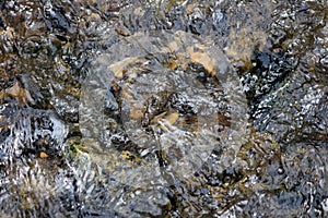 `CreekStock` high speed capture of rocky creek bottom with fast flowing water unretouched