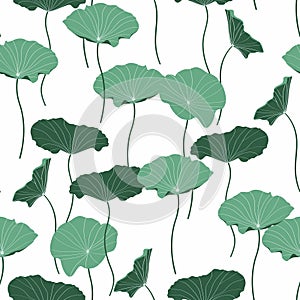 Creen abstract lotus leaves, simple line arts on light background.