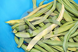 Creen beans to the right of a blue bowl