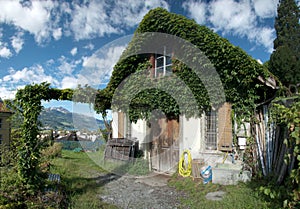 Creeper-clad workshop on Walenstadt Berg