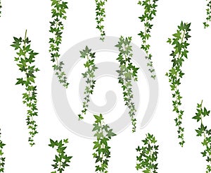 Creeper green ivy. Wall climbing plant hanging from above. Garden decoration ivy vines. Seamless background illustration