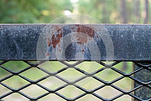 Creepy Black Iron Fence in the Forest