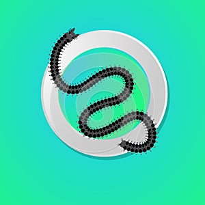 Creepy Centipede Worm