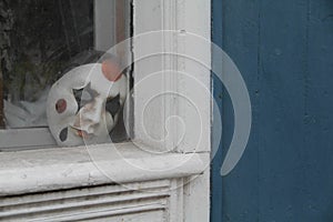 Creepy clown mask near the window