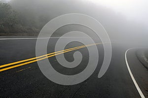 Creepy Foggy Road