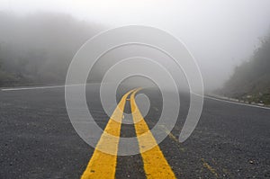 Creepy Foggy Road