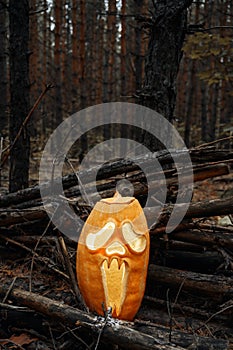 Creepy glowing Jack O Lantern pumpkin in the autumn forest at dusk. Halloween holiday background.