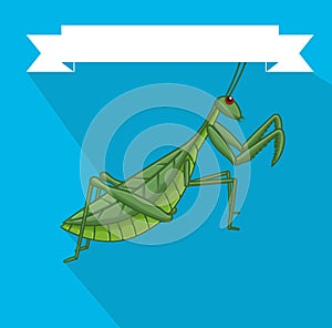 Creepy Mantis Insect