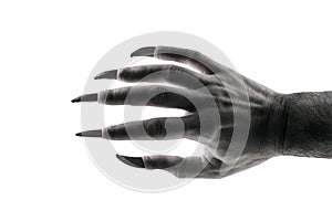 Creepy monster hand with black claws  on white background