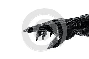 Creepy monster hand isolated on white background