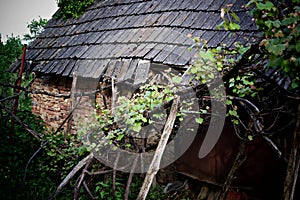 Creepy old house