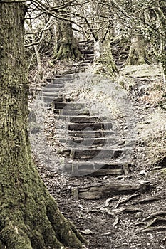 Creepy Stairs