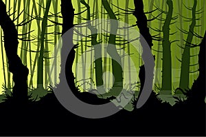 Creepy vector forest photo