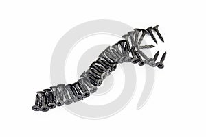 Creepy worm graboid laid out with black screws isolated on white background