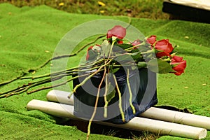 Cremation urn for burial with red roses