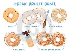 Creme brulee bagel set. Baked donut sandwich or dessert recipe.