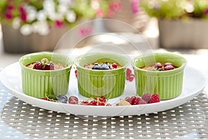 Creme brulee dessert in green bakeware decorated with berries on blurred background of summer plants