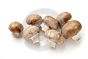 Cremini Mushrooms Isolated on White