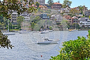 Cremorne point to Mosman Bay coastal walk with typical Australian houses at the background, Sydney, Australia