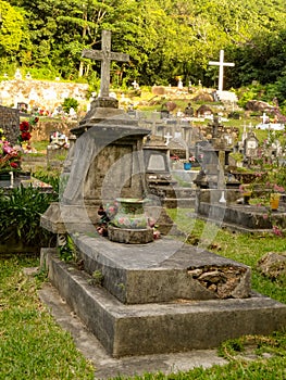 Creole graveyard photo