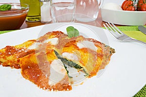 Crepes stuffed with spinach and mozzarella photo