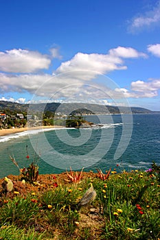 Crescent Bay Laguna Beach Vertical