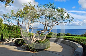 Crescent Bay Point Park, North Laguna Beach, California.