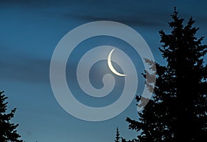 Crescent Moon at Night