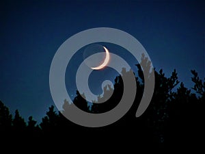 Crescent Moon With Shadow