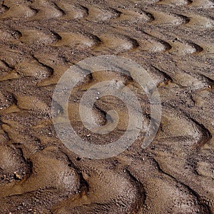 Crescent pattern on mud flat texture