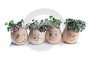 Cress Heads