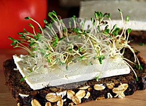 Cress sprouts