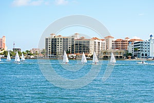 Cressy Cup qualifying race