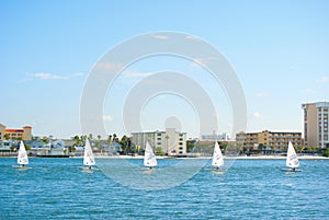 Cressy Cup qualifying race