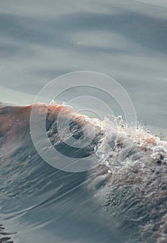 The crest of a breaking wave, tinged red from algae