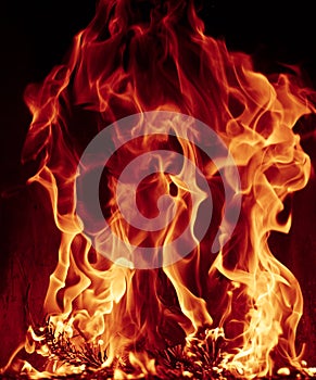 Crest of flame on burning wood in fireplace