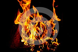 Crest of flame on burning wood in fireplace.