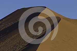 The crest of a red dune in the Namib Desert, in Sossusvley, Namibia