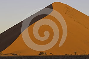 The crest of a red dune in the Namib Desert, in Sossusvley, Namibia