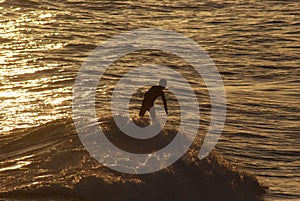 On the crest of the wave