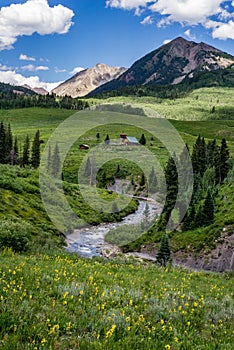Crested butte colorado mountain landscape and wildflowers photo