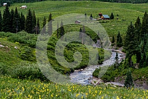 Crested butte colorado mountain landscape and wildflowers photo