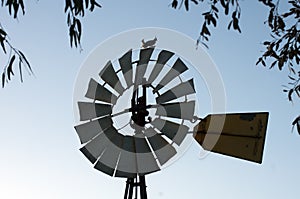 Crested pigeons perched on windmill framed by leaves