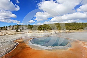 Crested Pool hot spring in Upper Geyser Basin in Yellowstone National Park, USA