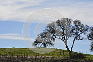 Creston Hillside photo