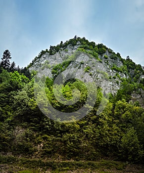 Cretaceous mountains Pieniny National Park panorama